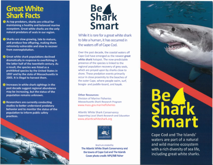 Shark Smart Brochure.1