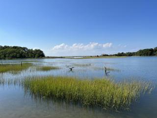 Open Space Committee