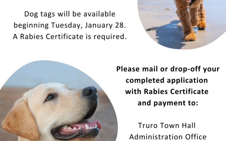 2025 Town of Truro Dog License Application Information