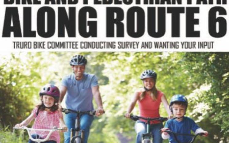 bike survey poster